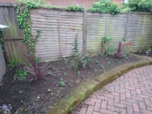 Kernos Garden 1
