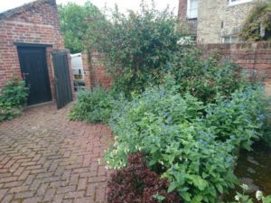 Kernos Garden 2